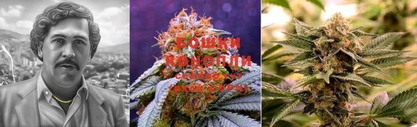 прущая мука Аркадак