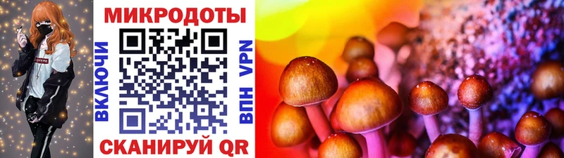 сколько стоит  Чебоксары  Галлюциногенные грибы Psilocybine cubensis 